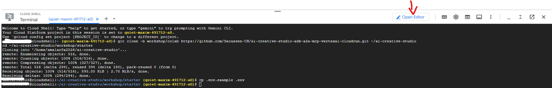 Click Open Editor in the Cloud Shell toolbar